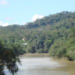River Dolphin Expedition