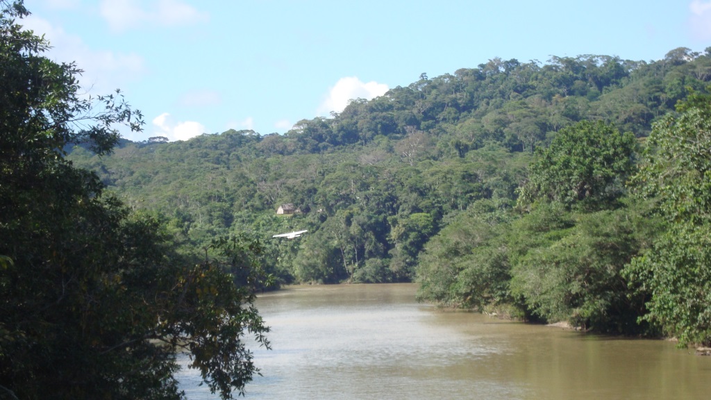 River Dolphin Expedition