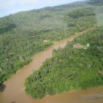 River Dolphin Expedition