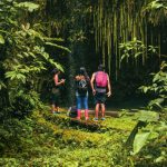 Finca Ecoturística Cascada Pailón del Angel
