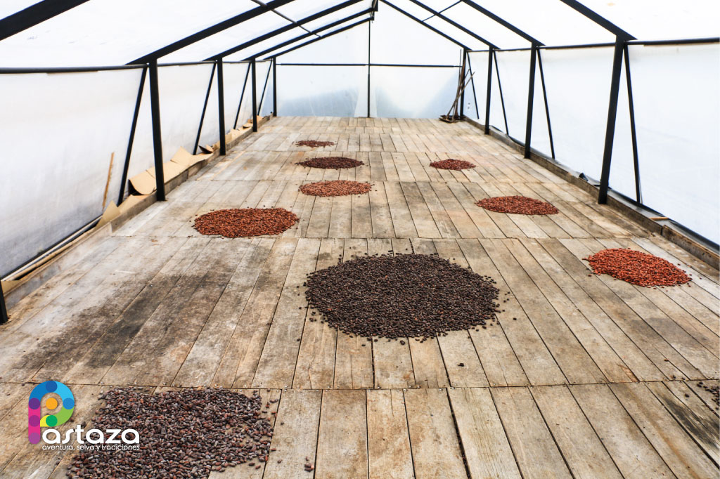Finca Agroindustrial y Turística Saquifrancia