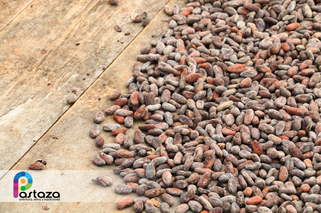 Finca Agroindustrial y Turística Saquifrancia