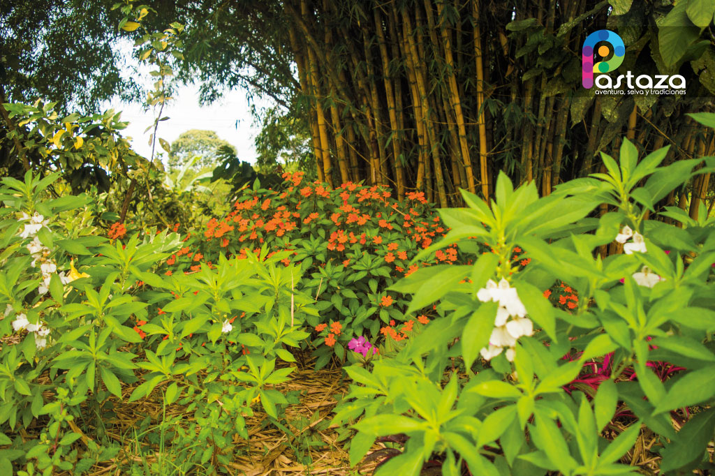 Finca Agroindustrial y Turística Saquifrancia