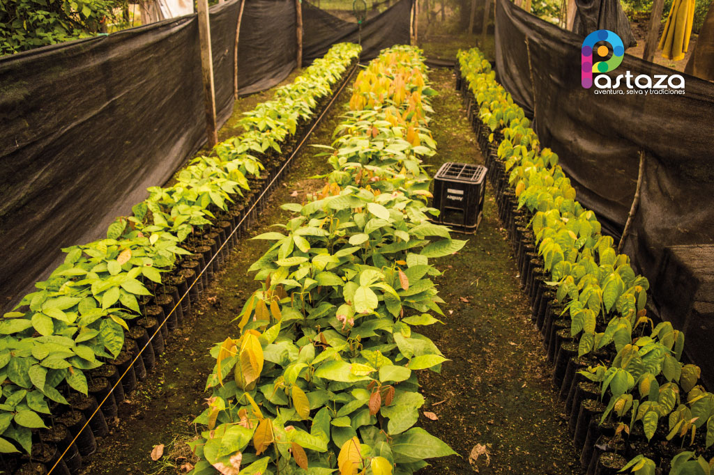 Finca Agroindustrial y Turística Saquifrancia