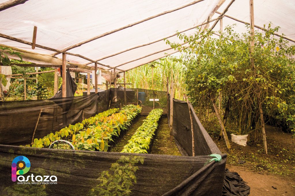 Finca Agroindustrial y Turística Saquifrancia