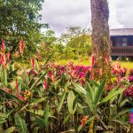 Finca Agroindustrial y Turística Saquifrancia