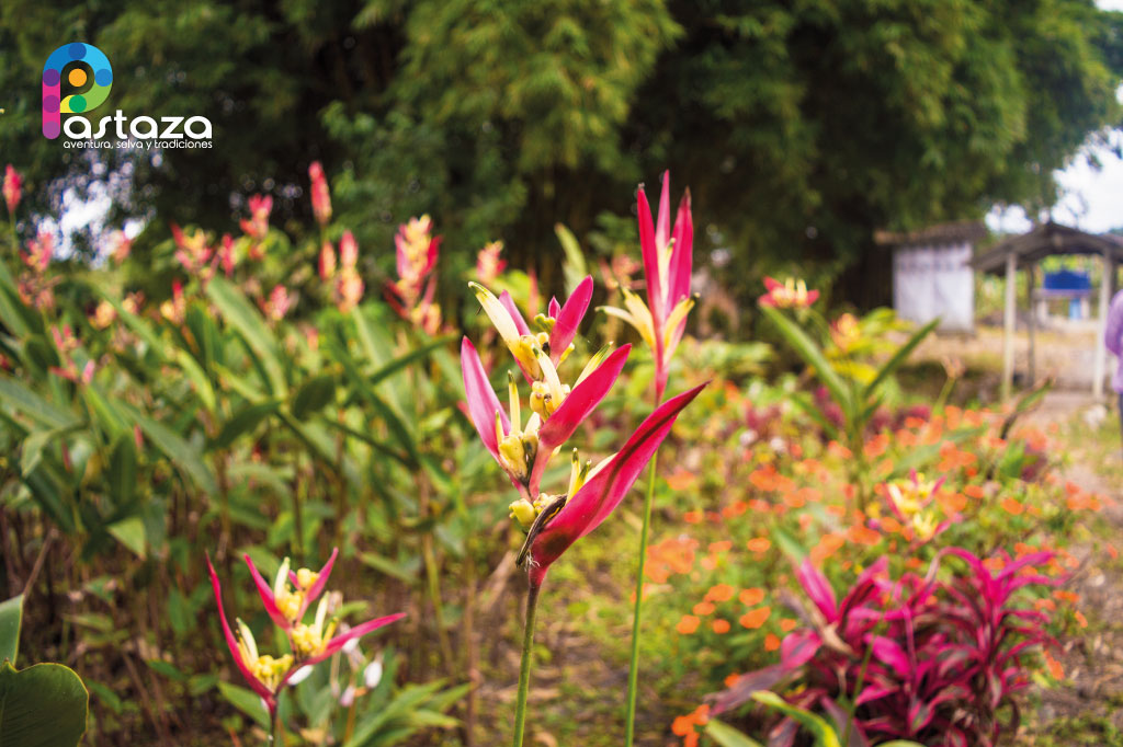 Finca Agroindustrial y Turística Saquifrancia