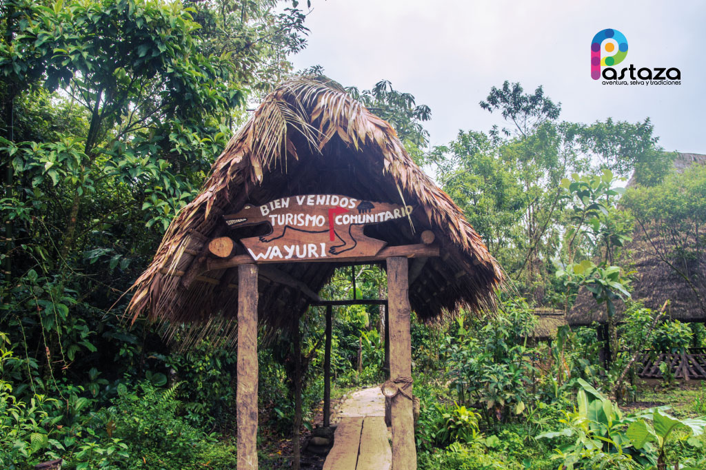 Emprendimiento de Turístico Wayuri
