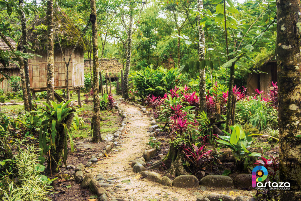 Emprendimiento de Turístico Wayuri