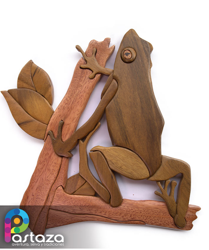 Rana Mono Amazónica - ArteSanía para la Conservación