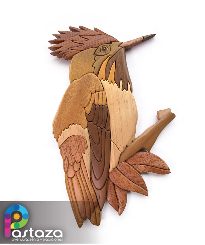 Coqueta Coronada - ArteSanía para la Conservación