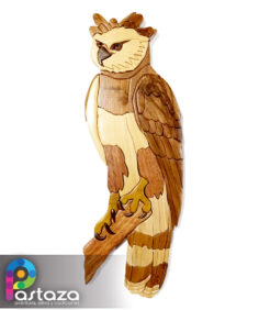 Aguila Harpia - ArteSanía para la Conservación