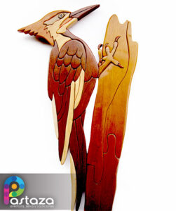 Caoba Artesanías - Carpintero Crestirojo