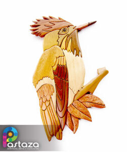 Coqueta Coronada - ArteSanía para la Conservación