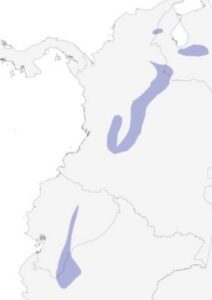 Coqueta Coronada - Ubicación