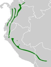 Gallo de la Peña - Ubicación