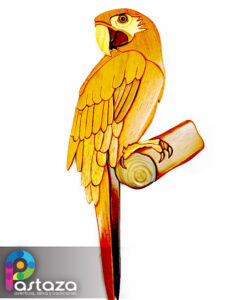 El Guacamayo Rojo - ArteSanía para la Conservación