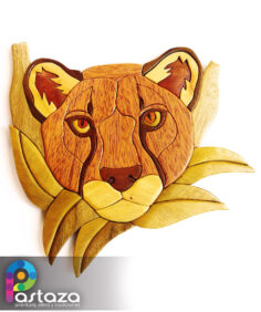 Rana Mono Amazónica - Jaguar