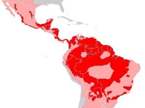 Jaguar - Ubicación