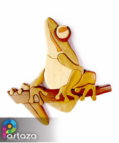 Rana Mono Amazónica - ArteSanía para la Conservación
