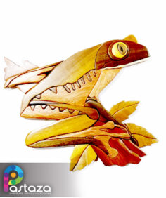 Rana Verde Naranja - ArteSanía para la Conservación